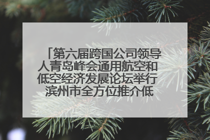 第六届跨国公司领导人青岛峰会通用航空和低空经济发展论坛举行 滨州市全方位推介低空经济发展优势