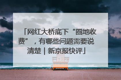 网红大桥底下“圈地收费”，有哪些问题需要说清楚｜新京报快评