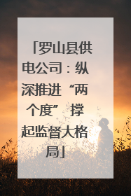 罗山县供电公司：纵深推进“两个度” 撑起监督大格局