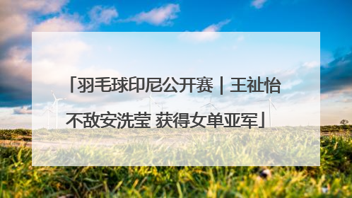 羽毛球印尼公开赛｜王祉怡不敌安洗莹 获得女单亚军