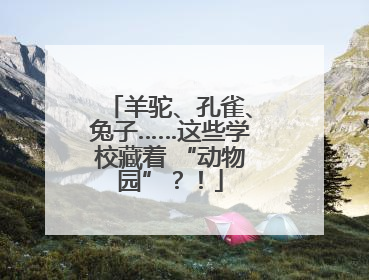 羊驼、孔雀、兔子……这些学校藏着 “动物园”？！