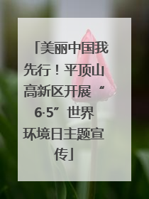 美丽中国我先行！平顶山高新区开展“6·5”世界环境日主题宣传