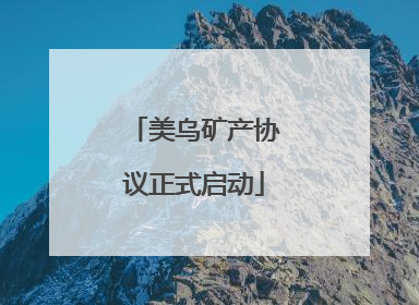 美乌矿产协议正式启动