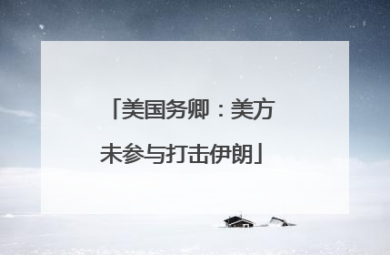 美国务卿：美方未参与打击伊朗
