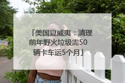 美国夏威夷：清理前年野火垃圾需50辆卡车运5个月