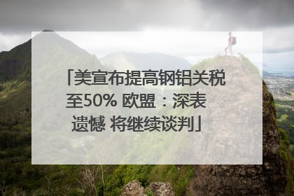 美宣布提高钢铝关税至50% 欧盟：深表遗憾 将继续谈判