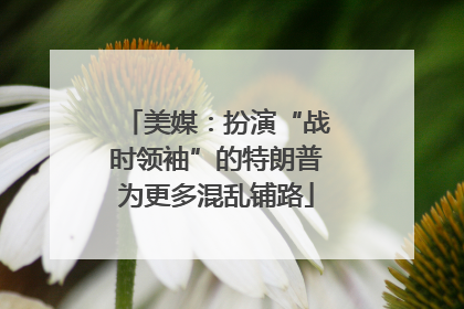 美媒：扮演“战时领袖”的特朗普为更多混乱铺路