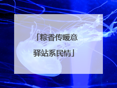 粽香传暖意 驿站系民情