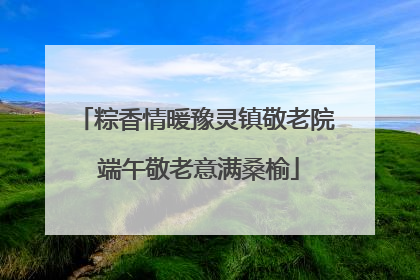粽香情暖豫灵镇敬老院 端午敬老意满桑榆