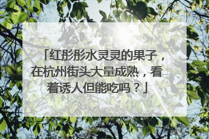 红彤彤水灵灵的果子，在杭州街头大量成熟，看着诱人但能吃吗？