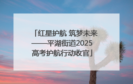 红星护航 筑梦未来——平湖街道2025高考护航行动收官