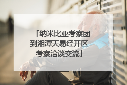 纳米比亚考察团到湘潭天易经开区考察洽谈交流