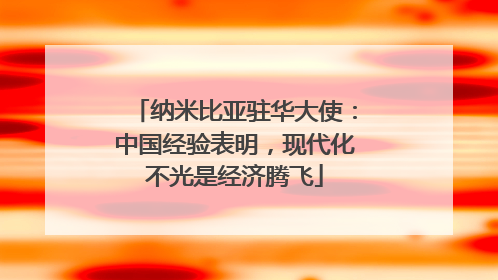 纳米比亚驻华大使：中国经验表明，现代化不光是经济腾飞