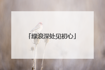 绿浪深处见初心