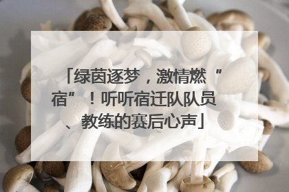绿茵逐梦，激情燃“宿”！听听宿迁队队员、教练的赛后心声
