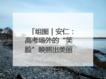 组图｜安仁：高考场外的“笑脸”映照出美丽新“答卷”