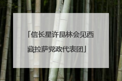 信长星许昆林会见西藏拉萨党政代表团