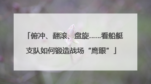 俯冲、翻滚、盘旋……看船艇支队如何锻造战场“鹰眼”