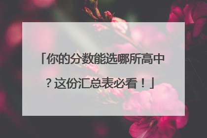 你的分数能选哪所高中？这份汇总表必看！
