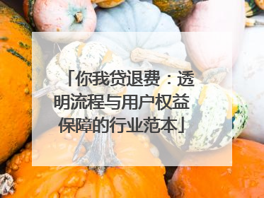 你我贷退费：透明流程与用户权益保障的行业范本