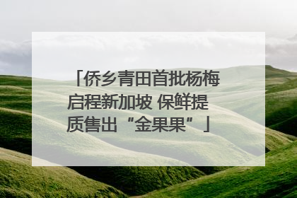 侨乡青田首批杨梅启程新加坡 保鲜提质售出“金果果”