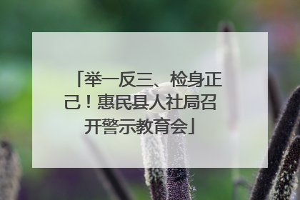 举一反三、检身正己！惠民县人社局召开警示教育会