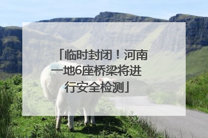 临时封闭！河南一地6座桥梁将进行安全检测