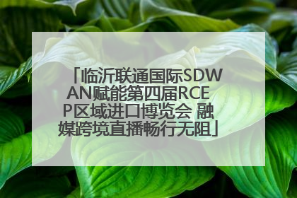临沂联通国际SDWAN赋能第四届RCEP区域进口博览会 融媒跨境直播畅行无阻