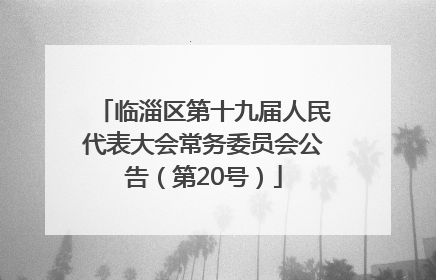 临淄区第十九届人民代表大会常务委员会公告（第20号）