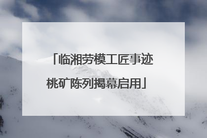 临湘劳模工匠事迹桃矿陈列揭幕启用