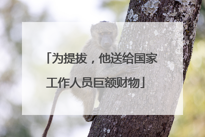 为提拔，他送给国家工作人员巨额财物