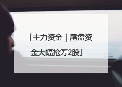 主力资金｜尾盘资金大幅抢筹2股