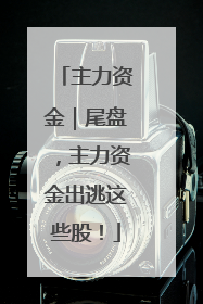 主力资金｜尾盘，主力资金出逃这些股！