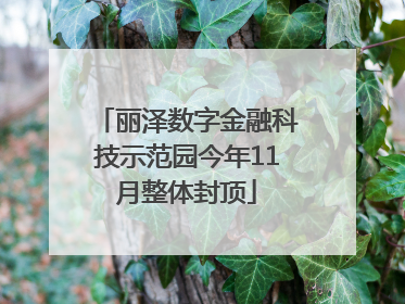 丽泽数字金融科技示范园今年11月整体封顶