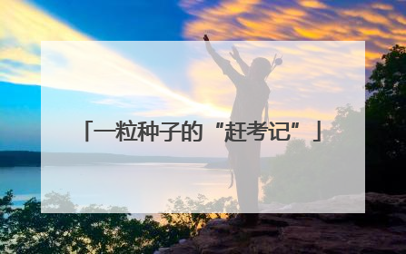 一粒种子的“赶考记”