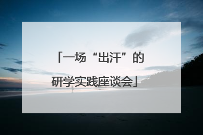 一场“出汗”的研学实践座谈会