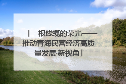一根线缆的荣光——推动青海民营经济高质量发展·新视角