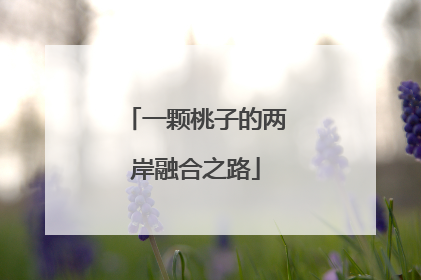 一颗桃子的两岸融合之路