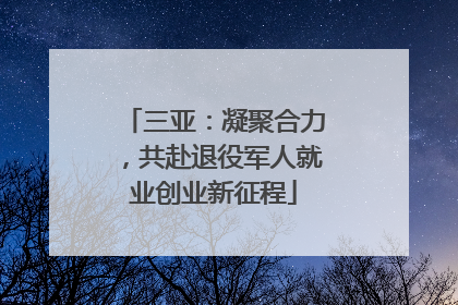 三亚：凝聚合力，共赴退役军人就业创业新征程