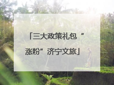 三大政策礼包“涨粉”济宁文旅