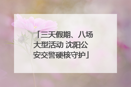 三天假期、八场大型活动 沈阳公安交警硬核守护