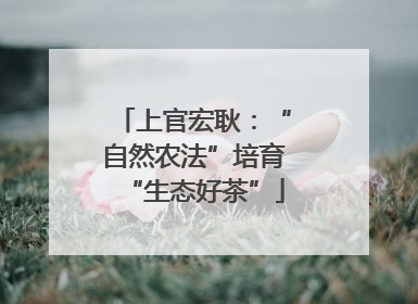 上官宏耿：“自然农法”培育“生态好茶”