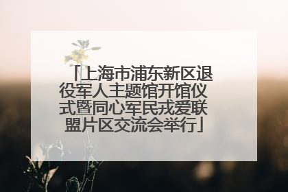 上海市浦东新区退役军人主题馆开馆仪式暨同心军民戎爱联盟片区交流会举行