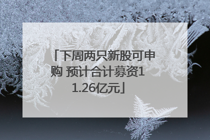 下周两只新股可申购 预计合计募资11.26亿元