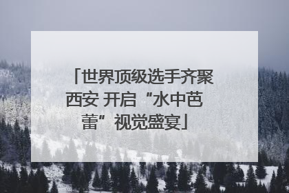世界顶级选手齐聚西安 开启“水中芭蕾”视觉盛宴