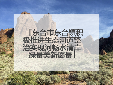 东台市东台镇积极推进生态河道整治实现河畅水清岸绿景美新愿景