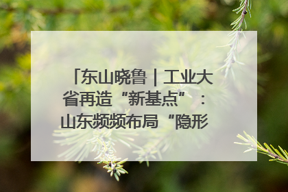 东山晓鲁｜工业大省再造“新基点”：山东频频布局“隐形冠军”背后