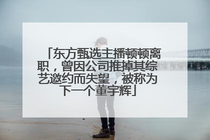 东方甄选主播顿顿离职，曾因公司推掉其综艺邀约而失望，被称为下一个董宇辉
