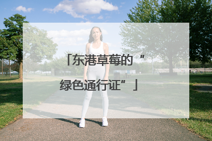 东港草莓的“绿色通行证”
