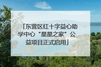 东营区红十字益心助学中心“星星之家”公益项目正式启用